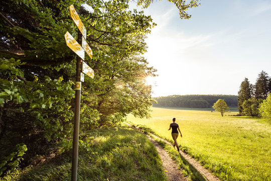 Traufgang Zollernburg-Panorama, Albstadt-Onstmettingen, Baden-W&cedil;rttemberg, Germany: Spring hike along the scenic hiking trail in the early morning.