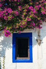 Traditional Aegean style white houses, colorful streets and bougainvillea flowers in Bodrum city of Turkey. White colored architecture in Bodrum town Turkey.