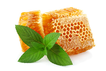 Honeycomb slice with mint - obrazy, fototapety, plakaty