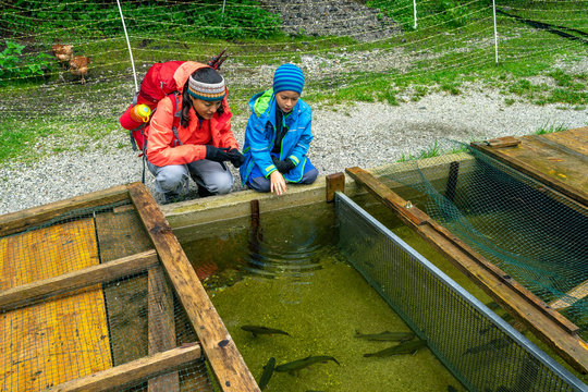 Mother and son watching fish in a pond of a fish farm on a rainy day