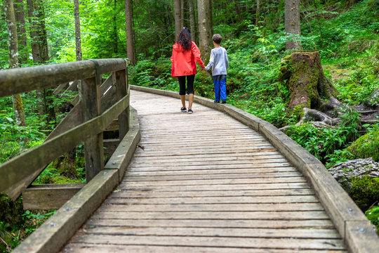 Mother and her son walking along a trail in the moody alpine forest