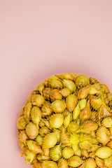 Onion in an orange grid on a pink background top view. Space for text