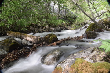 Obraz premium riviere