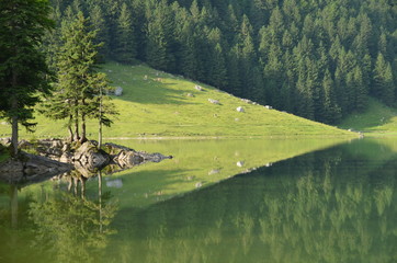 Spiegelung im Seealpsee