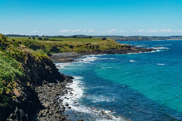 Fototapeta premium Die Insel Phillip Island ist im Frühling schön grün und die Blumen blühen