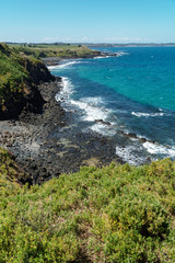 Die Insel Phillip Island ist im Frühling schön grün und die Blumen blühen