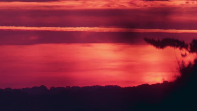 Time Lapse, Close Up , Sunset Through Branches, (graded version)