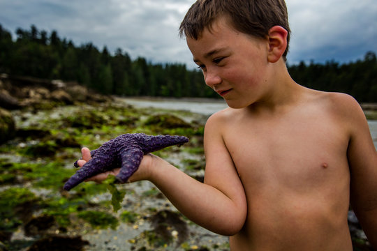 front view of boy holding a starfish on the beach