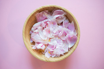 pink flowers in a bowl