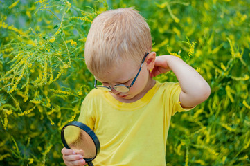 Portrait of charming boy in yellow T-shirt and glasses against background of green flowering bush. child examines flowers through magnifying glass. Spring floral background. soft lens