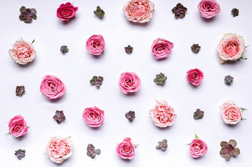 Flower pattern: flowers roses and succulents on a white background. Top view