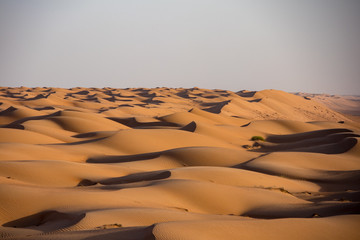 Fototapeta na wymiar Dünen in der Wüste im Oman