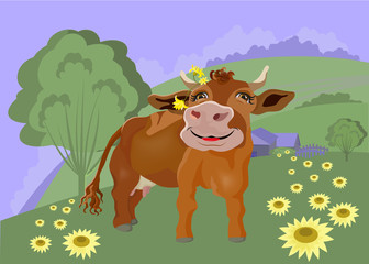 Funny cow