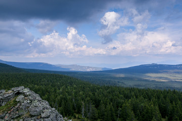 pristine, untouched forest in the highlands