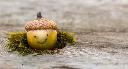 Cute fall scene, with a happy acorn peeking out of a mossy hole with room for text or copy. Concepts of autumn, seasons, educational resources