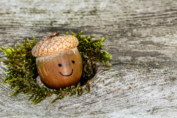 Cute fall scene, with a happy acorn peeking out of a mossy hole with room for text or copy. Concepts of autumn, seasons © Kimberly Boyles