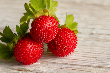 Wood srawberry Fragaria vesca On an old wooden background