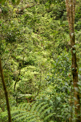 Paramo de Belmira