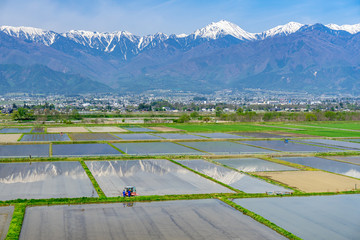 安曇野の水田と北アルプス