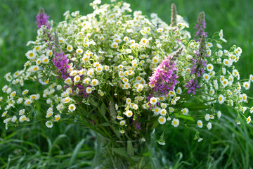 Beautiful Wild flowers bouquet in glass vase on green grass background