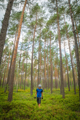 Fototapeta premium wandering cyclist in nature without bicycle