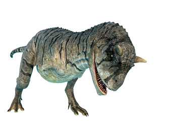 Obraz premium carnotaurus sastrei charging in a white background