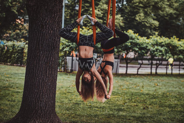 Two happy smiling girls are doing exercises upside down on the slings in the summer park.
