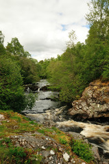 Fototapeta na wymiar Falls of Shin, Scottish Highlands