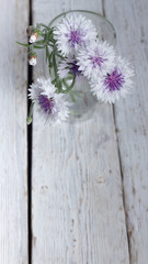 Bouquet of white cornflower in a glass on a white wooden background