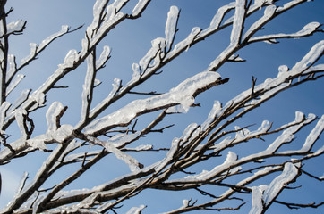 ICE © PIOTR JARCZYKOWSKI