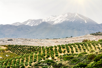 Fields and mountains on the North coast of Crete