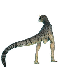 carnotaurus sastrei in a white background