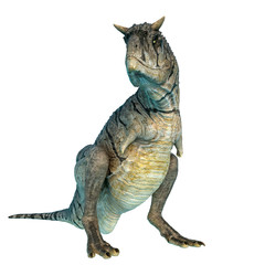 carnotaurus sastrei sitting in a white background © DM7