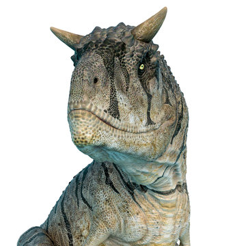 carnotaurus sastrei in a white background