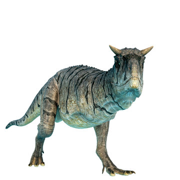 807 Best Carnotaurus Images Stock Photos Vectors Adobe Stock 807 Best Carnotaurus Images Stock Photos Vectors Adobe Stock