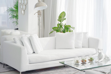 Interior of the living room of the hotel. Beautiful living room with white sofa. White Concept Living Room Interior. Modern bed room interior in Luxury villa. White colours, big window