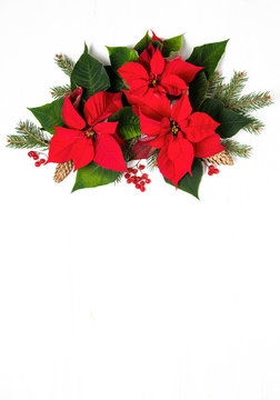 Christmas card or leaflet template with botany natural decor
