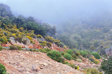 Fog in the mountains. The clouds touch the mountains. High mountain road.