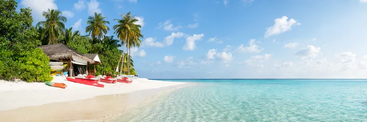  Summer vacation on a tropical island with beautiful beach and palm trees © eyetronic