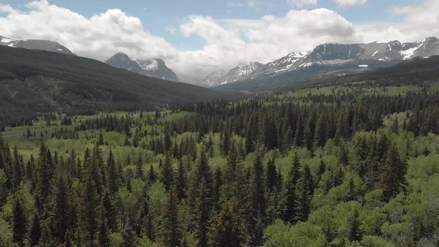 Forward tracking flight through vast wide lush green valley forest, rocky mountains in background