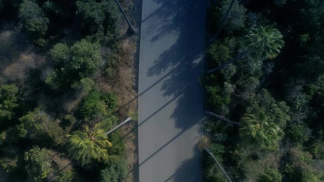 Top view rising shot of tall palm trees and small road - 4k UHD