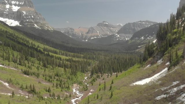 Flying tracking shot through Montana valley, Rocky mountains, green lush forest on sunny midday