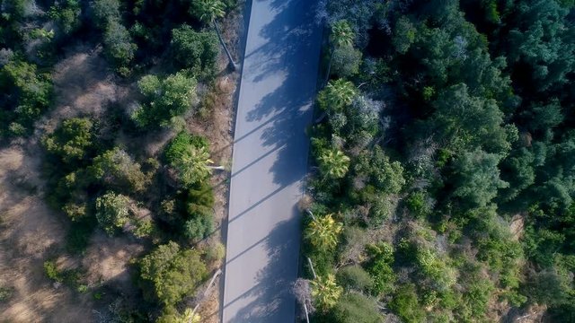 Aerial drone top view shot over palm tree lined road - 4k UHD