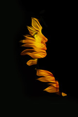 young  woman fantasy portrait double exposure