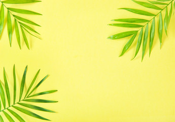 Fototapeta na wymiar Palm leaves yellow background Floral flat lay Summer holidays