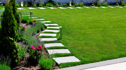 backyard garden with a flower bed with roses and lavender with a path of marble tiles on the meadow...