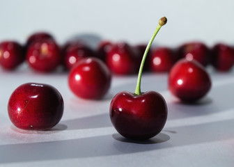 close-up of ripe cherry berries