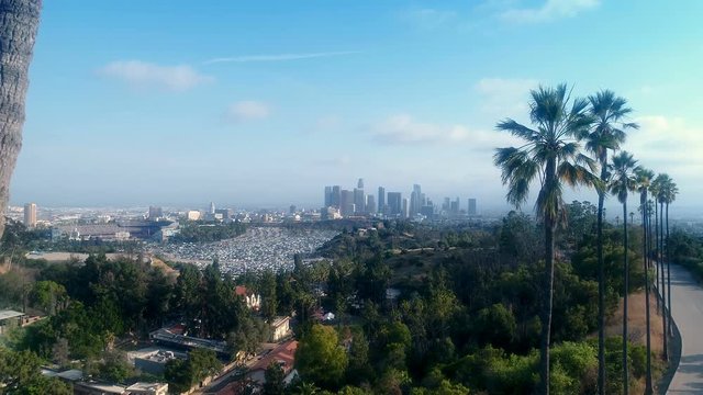 Stunning drone shot of palm tree downtown Los Angeles, California - 4K UHD