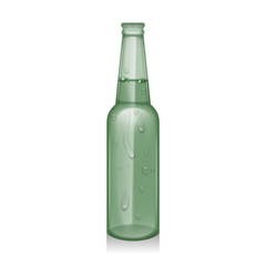 The Beer bottle in realistic style, Beer bottles, object isolated on transparent background, bottles in new design. Vector EPS 10 illustration