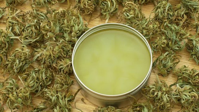 Cream medicinal cannabis hemp and cannabidiol CBD harvested dried of seeds quality for production of ointments, relieves pain, antibacterial and soothing, seeds big bud with pistils and stigmas